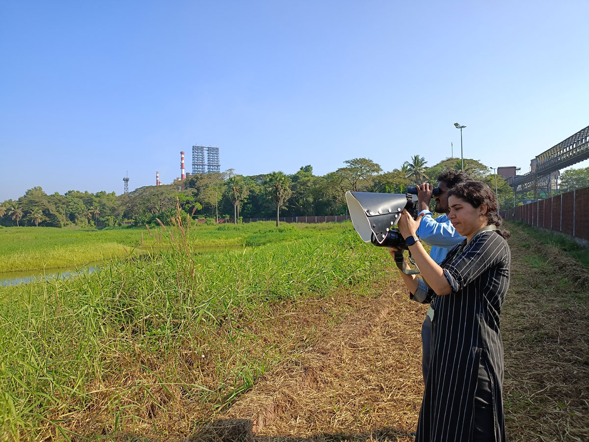 sustainagreens